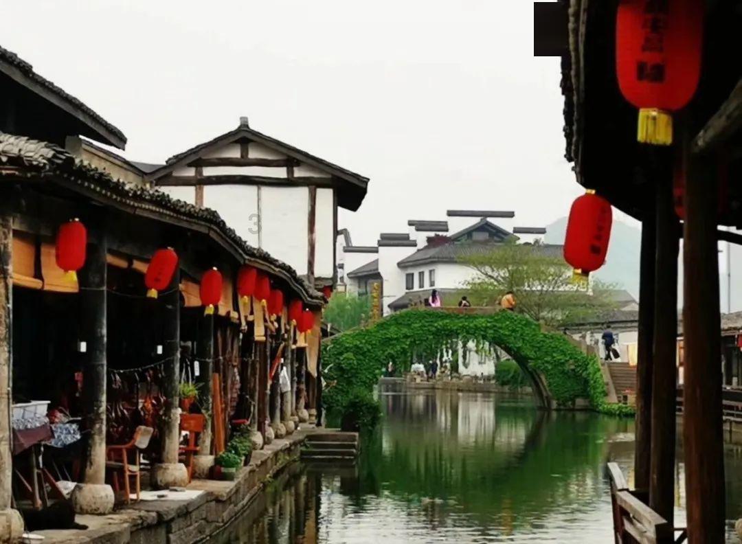 虫虫助手下载